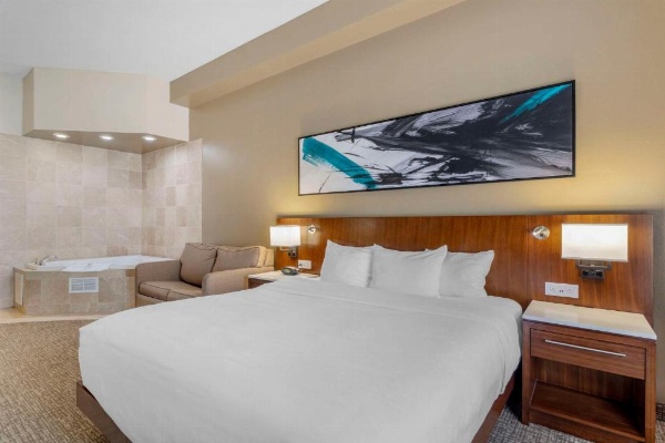 Comfort Suites East image 13